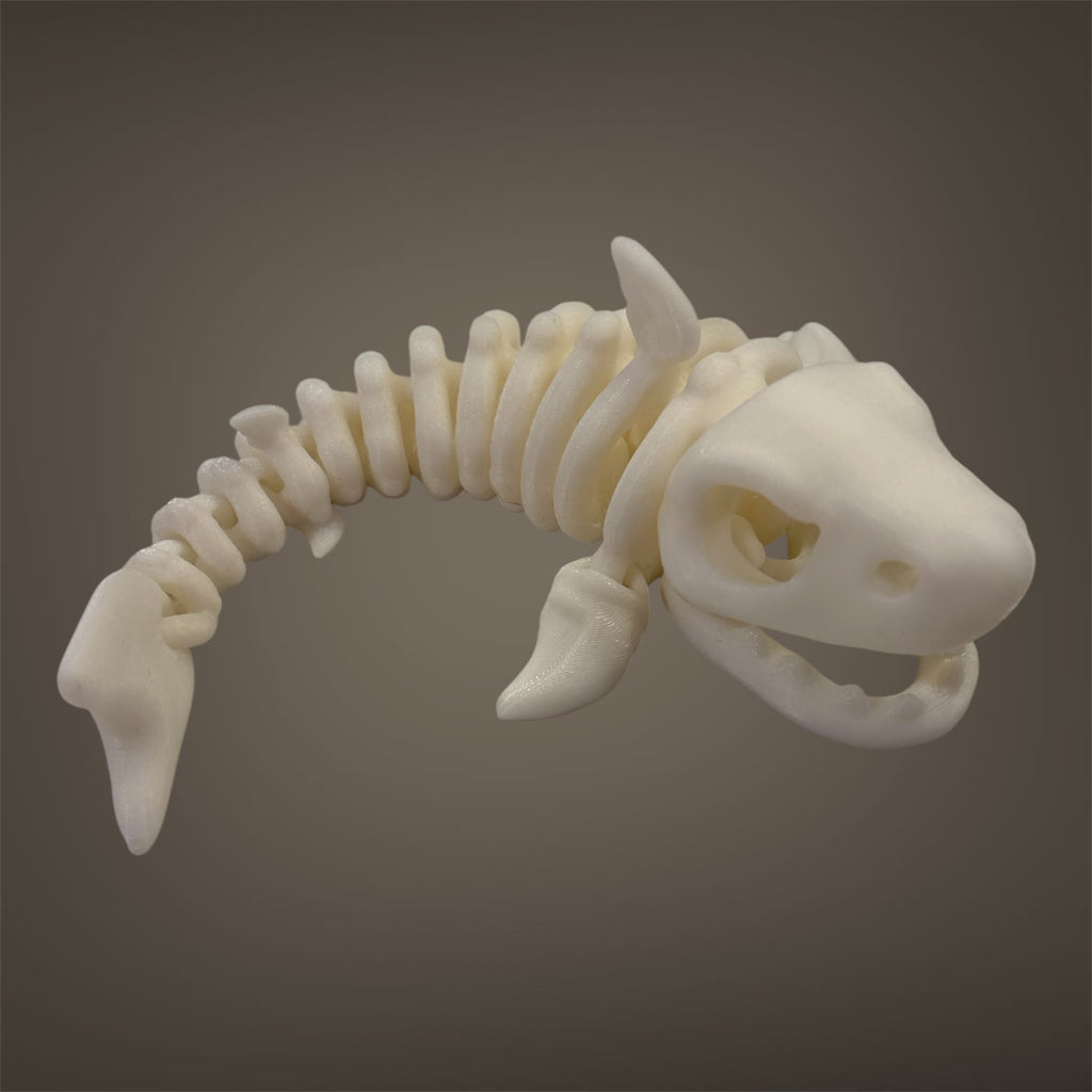 Skeleton Shark