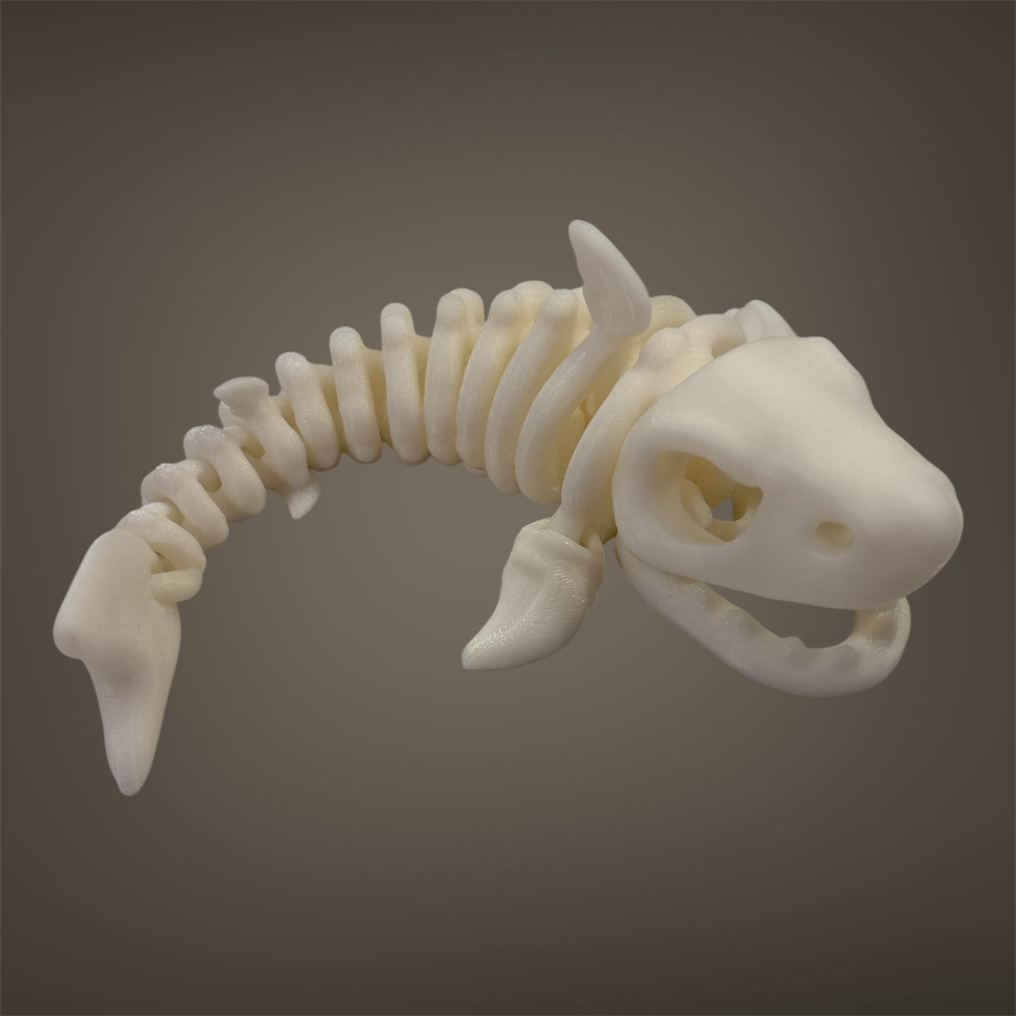 Skeleton Shark