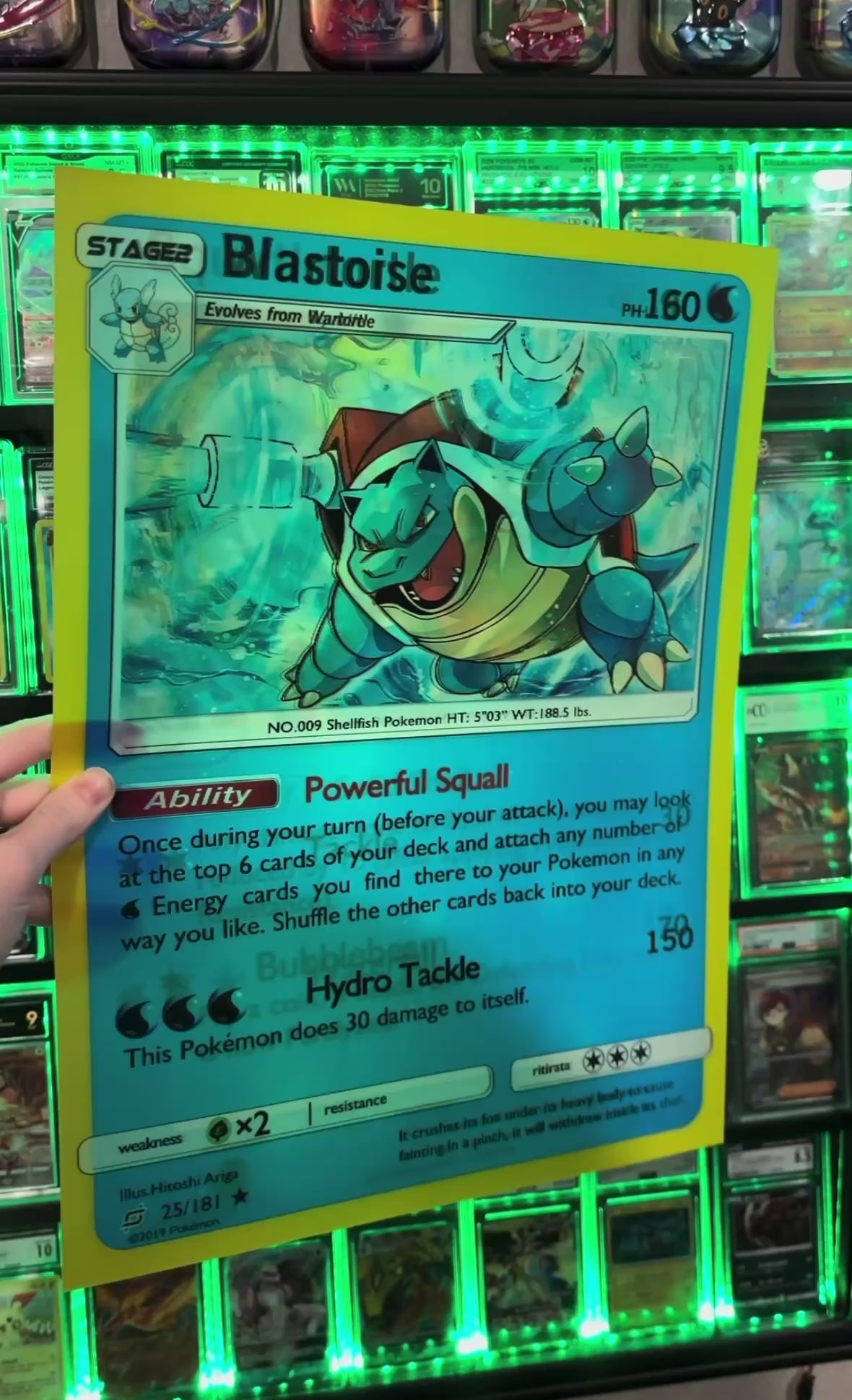 Squirtle, Wartortle, Blastoise