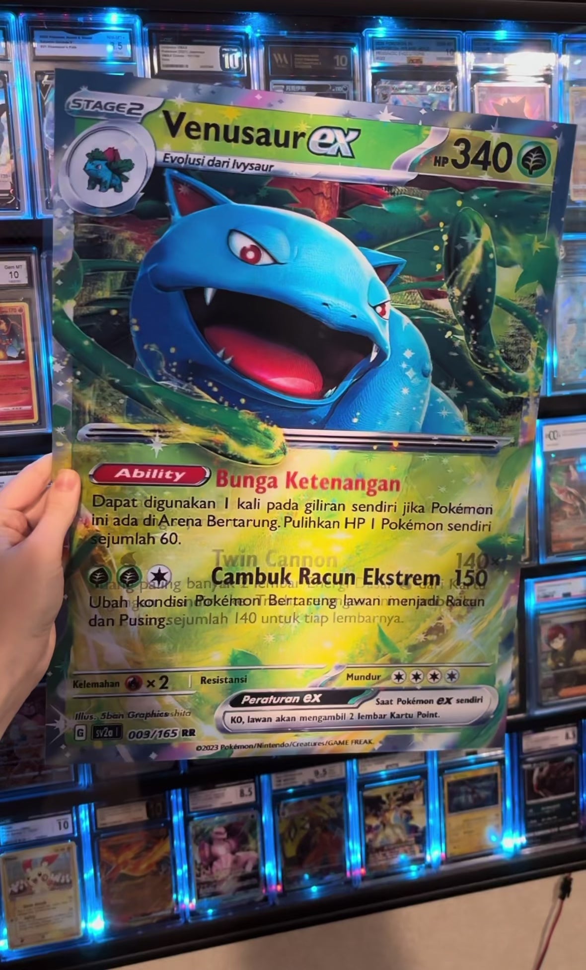 Charizard ex, Blastoise ex, Venusaur ex